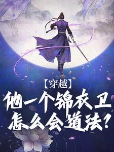 穿越：他一个锦衣卫怎么会道法？丁伟小说在线章节免费阅读