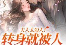 夫人太勾人!转身就被人给拱了叶溪知肖维熠小说大结局免费试读-推书机