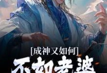 成神又如何,不如老婆孩子热炕头扶光羲和小说大结局免费试读-推书机