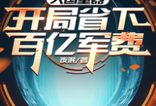 大国重器:开局省下百亿军费小说的免费电子版在哪里可以下载或阅读?-推书机