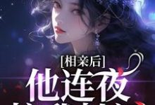 《相亲后,他连夜拉我扯证》完整版小说免费阅读-推书机