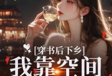 叶南衣小说穿书后下乡,我靠空间躺平咯章节免费阅读-推书机