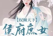 权倾天下：侯府庶女的逆袭付锦书龙墨渊，权倾天下：侯府庶女的逆袭在线无弹窗阅读-推书机