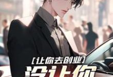 让你去创业,没让你制霸全球章节免费在线阅读,刘临吴灵儿完结版-推书机