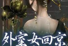 外室女回京,权贵齐折腰这本小说完结了吗?免费查看最新章节-推书机