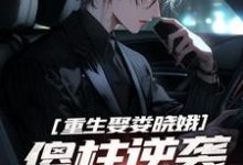 何雨柱楼晓娥完整版小说《重生娶娄晓娥,傻柱逆袭爽文男主》免费阅读-推书机