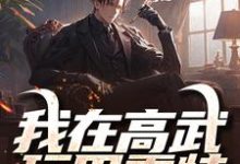 我在高武玩巴雷特，一枪打破光年（路尽）完整版在线免费阅读-推书机