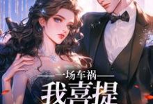 《一场车祸，我喜提妻女一双？》小说大结局免费试读 陈芸赵乾志小说-推书机