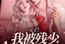 姜念肖白小说免费阅读完整版-推书机