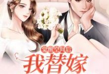 小说《觉醒空间后我替嫁冷面帅哥》完整版章节免费阅读-推书机