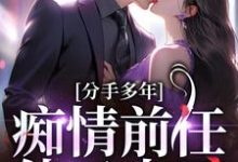 分手多年,痴情前任他又来了!小说,分手多年,痴情前任他又来了!在线阅读-推书机