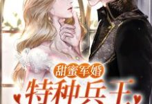 甜蜜军婚：特种兵王宠她入骨！小说的免费阅读版本在哪里可以找到？-推书机