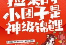 捡来的小团子是神级锦鲤完整版小说，捡来的小团子是神级锦鲤最新章节-推书机