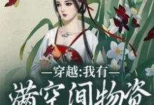 完结版《穿越:我有满空间物资还得逃命?》章节阅读-推书机