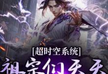 超时空系统:祖宗们天天往我这跑严青朱雄英,超时空系统:祖宗们天天往我这跑章节在线阅读-推书机