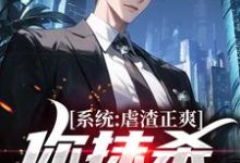 林夜小说完结版在线阅读,系统:虐渣正爽,你抹杀我干嘛免费看-推书机