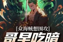 《众海贼想围攻,哥早吃暗暗果实了》小说免费阅读完整版-推书机