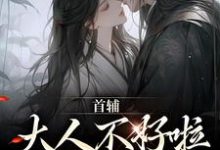 《首辅大人不好啦,夫人她跑了!》小说章节在线试读,《首辅大人不好啦,夫人她跑了!》最新章节目录-推书机