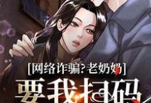 宋时小说网络诈骗?老奶奶要我扫码付我遗产在线阅读章节-推书机