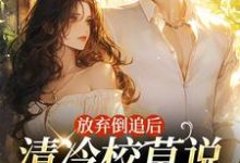 《放弃倒追后,清冷校草说他喜欢我》完整版小说免费阅读-推书机