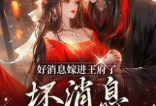 付苗小说好消息嫁进王府了,坏消息老公绝嗣在线阅读章节-推书机