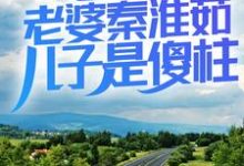 何大清傻柱小说免费阅读完整版-推书机