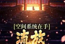 空间系统在手,流放帝王不愁完整版小说,空间系统在手,流放帝王不愁免费阅读-推书机