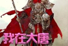 在线免费阅读我在大唐卖军火完整小说-推书机