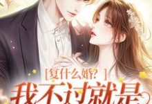 许听雨祁时风小说复什么婚?我不过就是个备胎嘛!完整版阅读-推书机