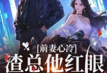 前妻心冷,渣总他红眼将人抵墙宠完整版小说,前妻心冷,渣总他红眼将人抵墙宠最新章节-推书机
