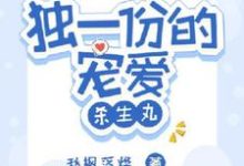 完整版的独一份的宠爱【杀生丸】小说在哪里可以免费读到？-推书机