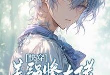 《快穿:美强惨大佬情迷钓系美人》完整版小说免费阅读-推书机