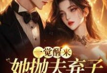 一觉醒来,她抛夫弃子成渣女了?这本小说怎么样?免费在线阅读试试-推书机