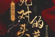 意外盗了死对头的墓小说免费资源,意外盗了死对头的墓在线阅读-推书机
