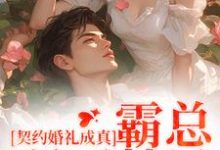 季凌风洛瑶小说《契约婚礼成真,霸总弱不禁风》在线阅读-推书机