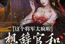 这个将军太疯啦,想辞官和夫人贴贴小说的免费阅读版本在哪里可以找到?-推书机