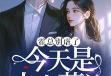 霍总别虐了,今天是夫人葬礼小说完结版章节免费阅读-推书机
