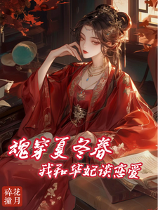 哪里能找到夏冬春穿越日记：我与华妃二三事小说的最新更新和免费章节？