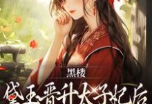 免费看黑楼：黛玉晋升太子妃后，全员忏悔小说的网站有哪些？-推书机