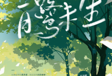 白鹭未生免费阅读，白鹭未生章节在线阅读-推书机