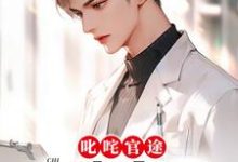 叱咤官途:一路青云小说的免费电子版在哪里可以下载或阅读?-推书机