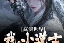 武侠世界：我，小道士，已无敌小说最新章节在哪里可以读到？-推书机