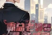 如果不是霸总老婆我还是一条咸鱼小说的无弹窗阅读体验,寻找免费阅读网站-推书机
