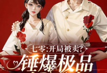 《七零:开局被卖?锤爆极品嫁军官》小说顾砚辞宋柚宁章节章节免费在线阅读-推书机