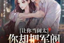 免费在线阅读让你当阔太，你却把军阀大佬给办了小说的正规网站有哪些？-推书机