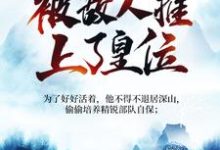 哪里可以免费找到被追杀的我，被敌人推上了皇位？-推书机