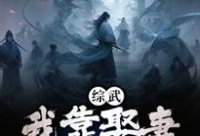 综武：我靠娶妻福气缠身徐缺徐渭熊小说完结版章节在线阅读-推书机