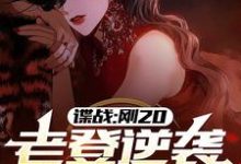 谍战：刚20，老登逆袭什么鬼？许敬元孙嘉棋小说在线章节目录阅读最新章节-推书机