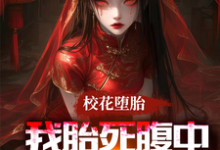 刚穿越就胎死腹中,我化身诡婴小说全文哪里可以免费看?-推书机