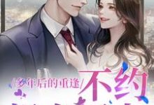 多年后的重逢，不约，姐有男友（禾念安傅璟忱）完整版在线免费阅读-推书机